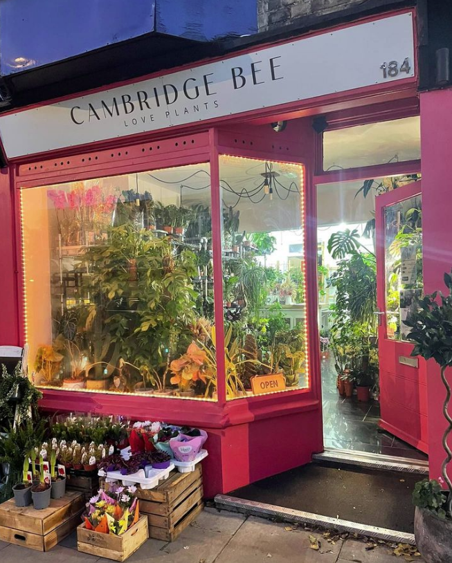 Cambridge Bee, Cambridge, Online High Street